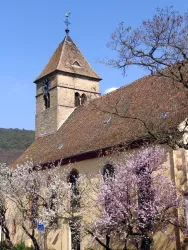 Gimmeldinger Kirche (© Rolf Schädler)