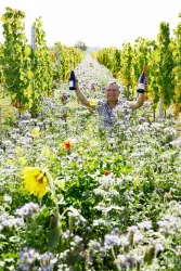 Ein fröhlicher Weinbauer steht in einem blühenden Weinberg und hält zwei Flaschen Wein hoch. Um ihn herum wachsen viele bunte Blumen.