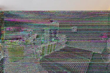 Das Bild zeigt einen verzerrten Raum mit Möbeln und Pflanzen. Die Farben sind unklar und das Bild wirkt gestört.
