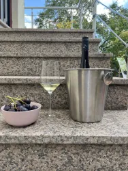 Ein Kühler mit Weinflasche steht auf einer Treppe, daneben ein Glas Wein und eine Schüssel mit Trauben. Die Umgebung ist hell und freundlich, mit Blick ins Grüne.