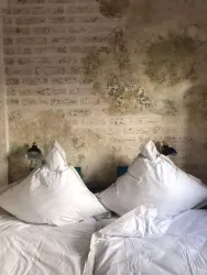 Wunderschöne Wohnung mit Blick auf die Weinberge