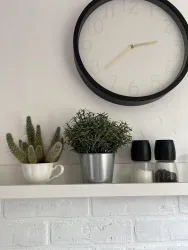 Eine moderne Wandregal mit verschiedenen Pflanzen, darunter ein Kaktus und Kräuter. Darüber hängt eine große Uhr mit einem schlichten, schwarzen Rahmen.