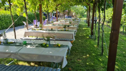 Ein schöner Außenbereich mit mehreren festlich gedeckten Tischen unter Weinreben. Die grüne Umgebung und das sanfte Licht sorgen für eine einladende Atmosphäre.