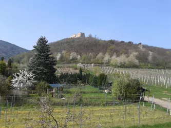 Ausblick von der Terrasse