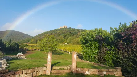 Eine malerische Landschaft mit einem Regenbogen über einem hügeligen Weinberg. Im Vordergrund sind mächtige Steinpfosten und üppiges Grün zu sehen.