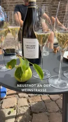 Eine Flasche Sekt steht auf einem Tisch, umgeben von Gläsern und einem grünen Obst mit einem Blatt. Im Hintergrund sieht man unscharfe Menschen und die gemütliche Atmosphäre eines Zusammenkommens.