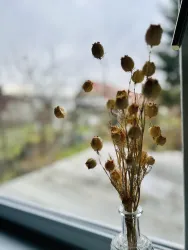 Ein kleiner Blumenstrauß aus getrockneten Pflanzen in einer Glasvase. Im Hintergrund ist eine unscharfe Gartenlandschaft zu sehen.