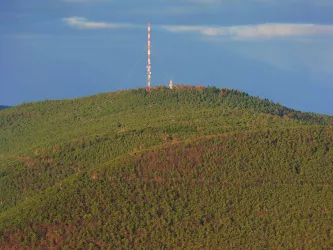 Weinbiet (von Süden) (© Klaus Hünerfauth)