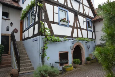 Ein charmantes Fachwerkhaus mit blauen Fensterrahmen und Blumenkästen. Die Umgebung zeigt eine gemütliche Terrasse und üppige Pflanzen.
