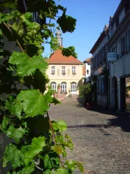 Eine charmante Gasse mit altem Kopfsteinpflaster und umgeben von traditionellen Gebäuden. Im Hintergrund ist ein helles Haus mit großen Fenstern zu sehen.
