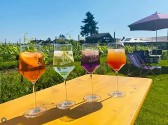 Vier bunte Getränke in Gläsern stehen auf einem Holztisch. Im Hintergrund sind grüne Weinreben und ein Sonnenschirm zu sehen.