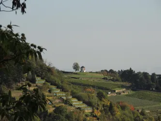 Blick auf den Deidesheimer Tempel 2