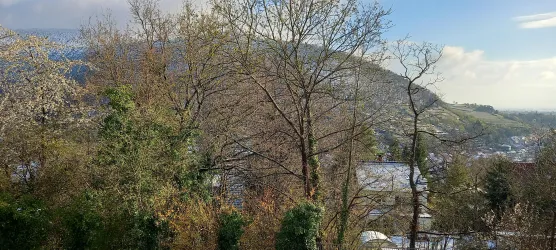 Blick auf das Weinbiet im Winter