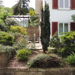 Ein schöner Garten mit allerlei Pflanzen und Sträuchern. Im Hintergrund ist ein helles Haus mit roten Fensterläden zu sehen.