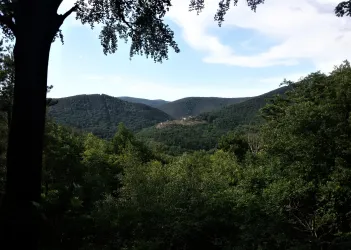 Eine malerische Landschaft mit sanften Hügeln und dichtem Wald. Der Himmel ist klar mit einigen Wolken.