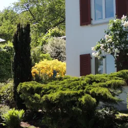 Ein schöner Garten mit üppigem Grün und bunten Pflanzen. Im Hintergrund ist ein helles Haus mit großen Fenstern und roten Fensterläden zu sehen.