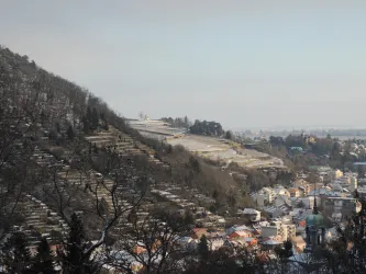 Eine winterliche Landschaft mit schneebedeckten Weinbergen und einem kleinen Ort im Tal. Der Himmel ist leicht bewölkt, und die Natur wirkt ruhig und friedlich.