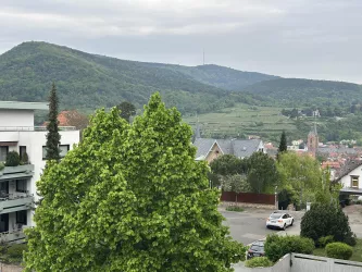 Blick aus der Ferienwohnung