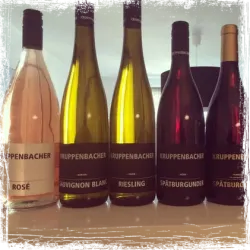 WG Kruppenbacher 2