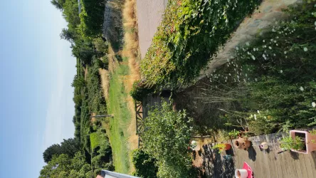 Blick vom Balkon