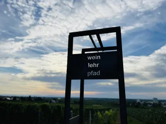Ein Schild mit der Aufschrift "Weinlehrpfad" steht in einem Weinberg. Im Hintergrund sind Wolken und ein sanfter Sonnenuntergang zu sehen.