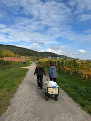 Zwei Personen spazieren auf einem Weg durch Weinberge. Sie ziehen einen Wagen mit Gepäck hinter sich.