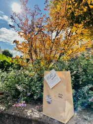 Eine braune Papiertüte steht vor einer bunten Herbstlandschaft mit orangefarbenen und gelben Blättern. Im Hintergrund sind Sträucher und ein blauer Himmel zu sehen.