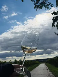 Ein Glas Wein wird vor einer landschaftlichen Szenerie gehalten. Der Himmel ist bewölkt und der Weg führt durch Weinreben.