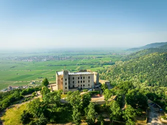 Eine alte Burg steht auf einem Hügel, umgeben von grünen Wäldern. Im Hintergrund erstreckt sich eine weite Landschaft mit Feldern und Hügeln.