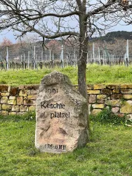 Ein großer Gedenkstein mit der Aufschrift "Keschte plätzel" und der Jahreszahl 1991. Im Hintergrund sind Weinreben und ein karger Baum zu sehen.