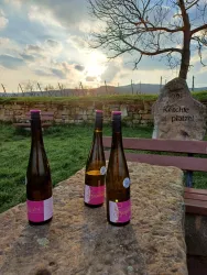Drei Weinflaschen stehen auf einem Steintisch in einer Weinlandschaft. Im Hintergrund sind eine schöne Himmelsszene und ein Baum sichtbar.