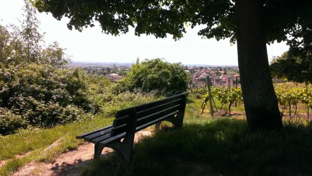 Blick auf Hambach