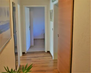 Ein heller Flur mit Holzfußboden und Türen auf beiden Seiten. An einer Wand ist ein Spiegel und eine Pflanze steht am Boden.