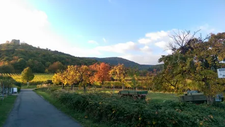 Wandern in der Hambacher Gemarkung