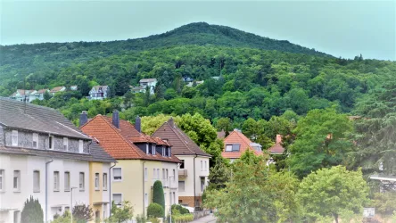 Eine ruhige Wohnstraße mit verschiedenen Häusern. Im Hintergrund erhebt sich ein bewaldeter Hügel.