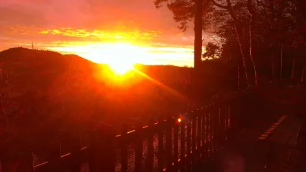 Abendstimmung auf dem Hohe Loog
