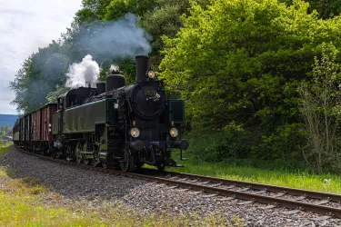 Eine alte Dampflok fährt auf einem Gleis entlang grüner Bäume. Die Lokomotive stößt Rauch aus und zieht einige Waggons hinter sich her.