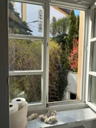 Ein Fenster mit Blick auf einen begrünten Garten und farbenfrohe Pflanzen.