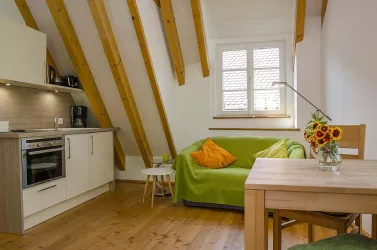 Apartment Idig - Wohn- / Essbereich m. Küchenzeile