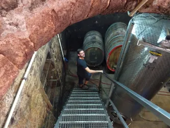 Eine Person steht auf einer Treppe in einem Weinkeller. Im Hintergrund sind große Eichenfässer und ein silberner Tank zu sehen.