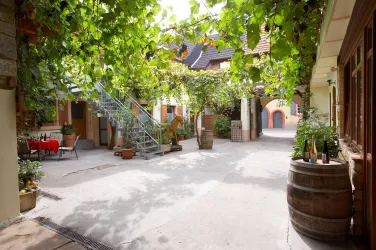 Ein gemütlicher Innenhof mit grünen Weinreben und klassischen Holztischen. Im Hintergrund sind schöne Gebäude und eine Treppe zu sehen.