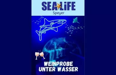 Weinprobe unter Wasser © Weingut Schäfer (© Weingut Schäfer)