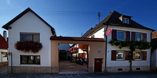 Syring-Lingenfelder