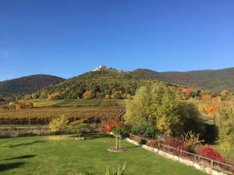Eine malerische Landschaft mit Weinbergen in bunten Herbstfarben. Im Hintergrund ist ein Hügel mit einer Burg zu sehen.