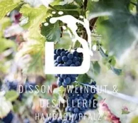 LOGO ©Weingut Disson