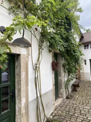 casa limoni cortile3