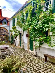 casa limoni cortile6