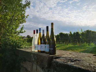 Sechs Flaschen Wein stehen auf einer Steinmauer. Im Hintergrund sind Weinberge und ein sonniger, bewölkter Himmel zu sehen.