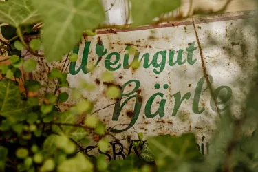 Ein altes, rostiges Schild mit der Aufschrift "Weingut Härle" ist von Pflanzen umgeben. Die Schrift ist teilweise verdeckt, aber die grünen Buchstaben sind gut erkennbar.