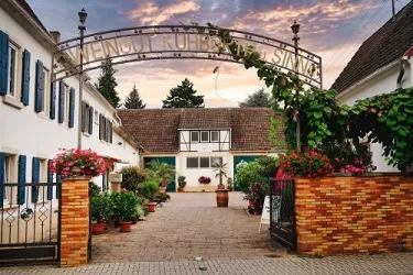 Ein einladender Eingang zu einem Weingut mit einem schönen Torbogen. Die Umgebung ist mit Blumen und Pflanzen geschmückt, und die Architektur ist typisch für eine ländliche Weingegend.
